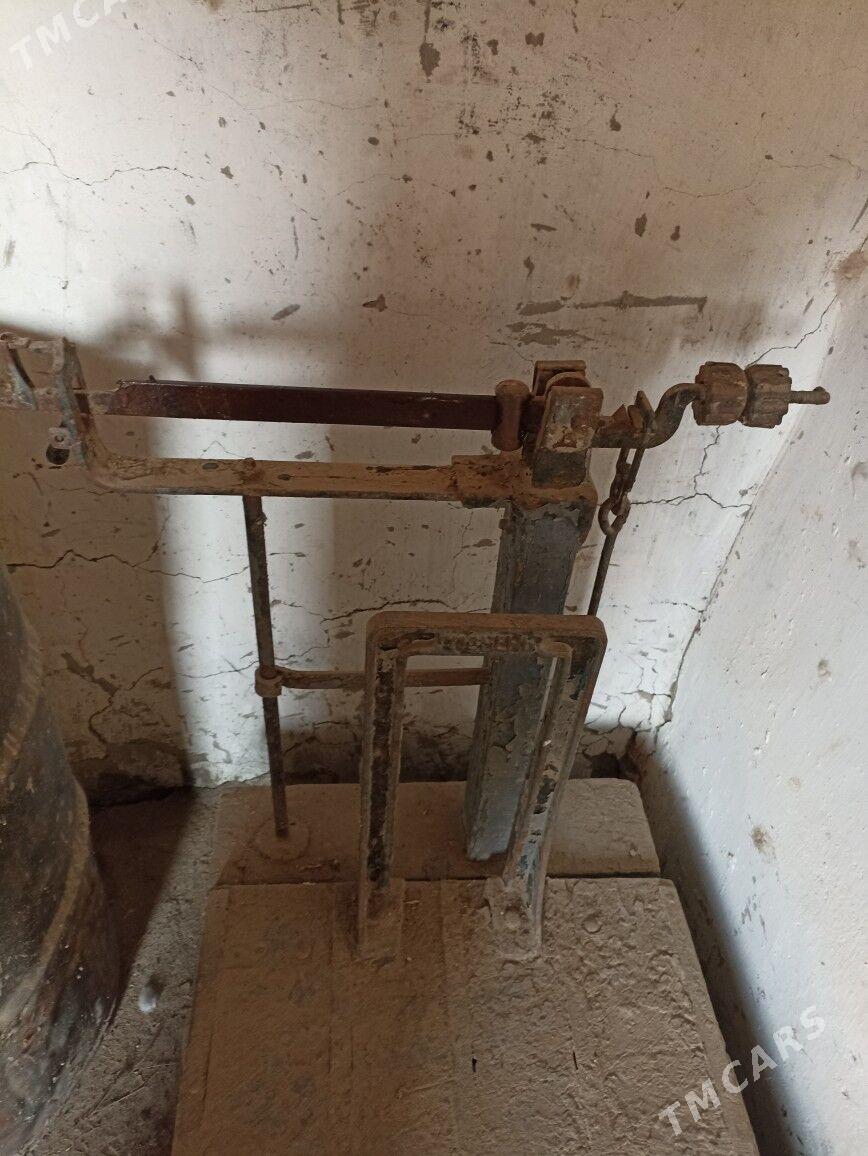 Terezi - Gumdag - img 3