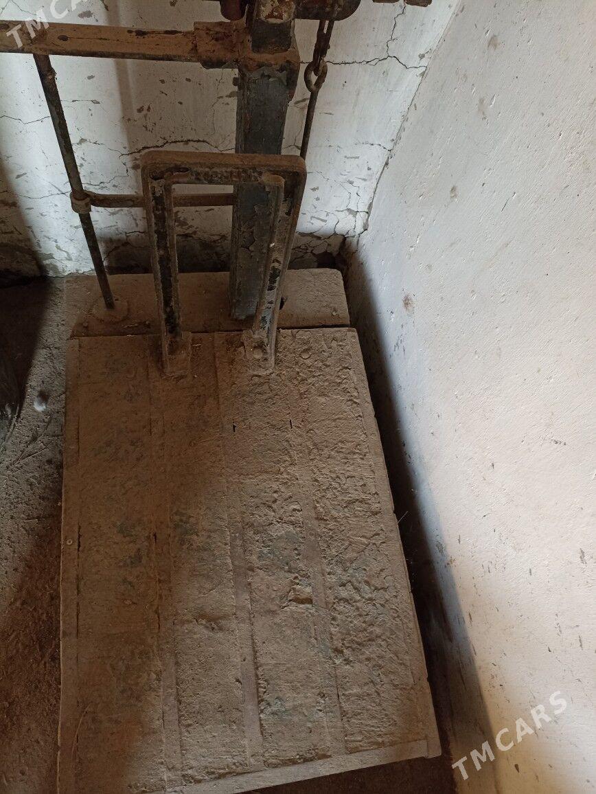 Terezi - Gumdag - img 2