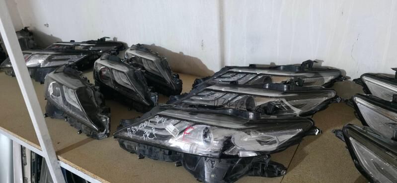 Kemri 2021 Fara 2 800 TMT - Mary - img 2