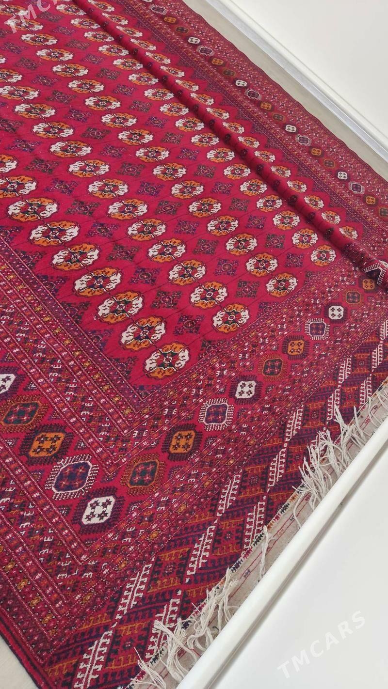 el haly 5/7 - Бахарден - img 2