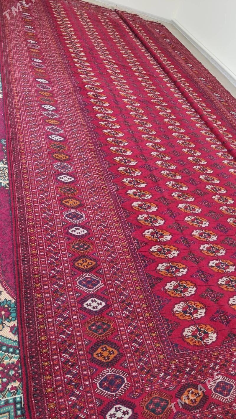 el haly 5/7 - Бахарден - img 3