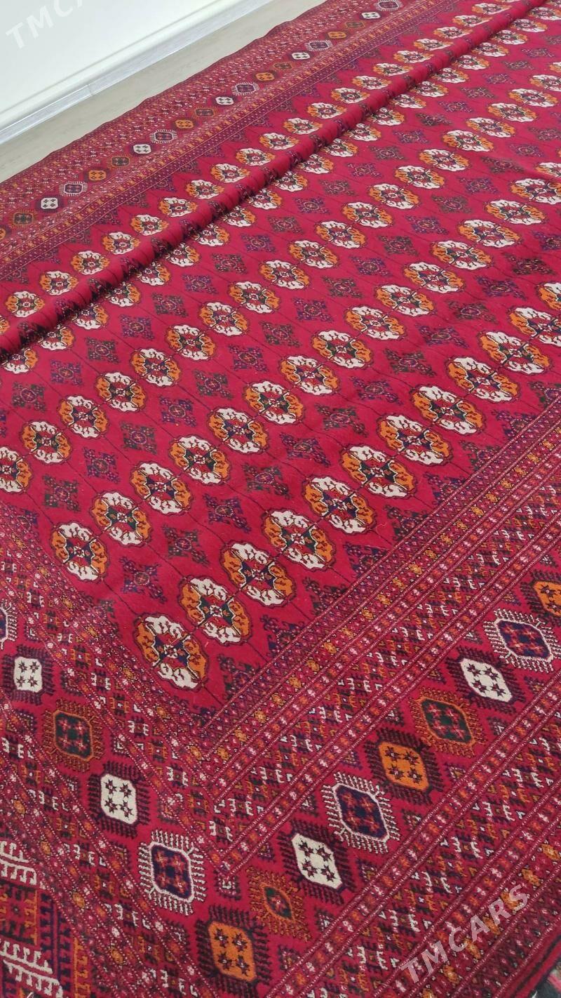 el haly 5/7 - Бахарден - img 4