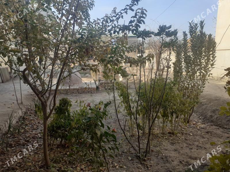 Saýat satlyk jaý 5 komnat - Саят - img 2