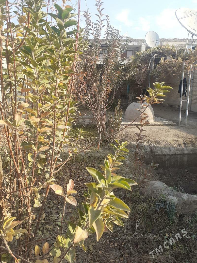 Saýat satlyk jaý 5 komnat - Саят - img 6