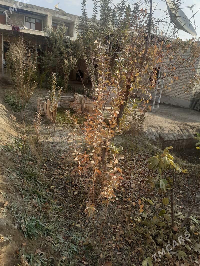 Saýat satlyk jaý 5 komnat - Саят - img 7