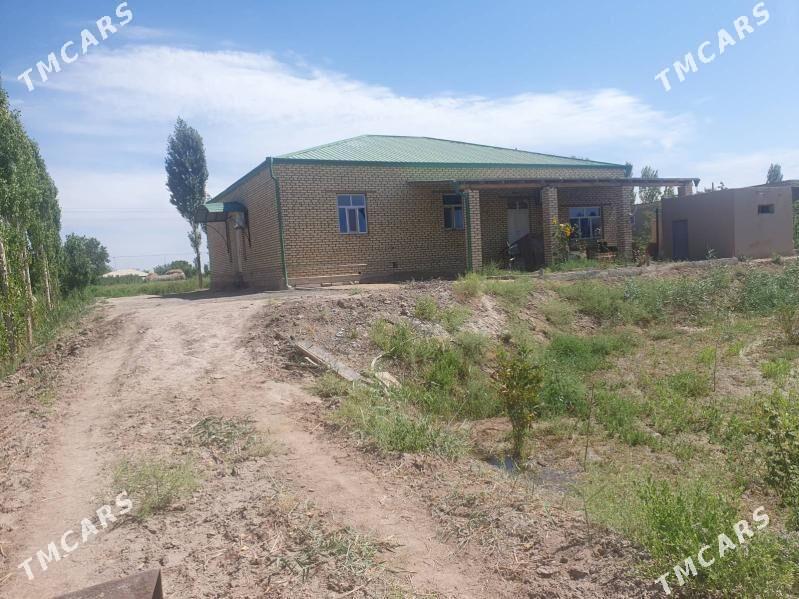 жай сатыляр - Görogly (Tagta) - img 8