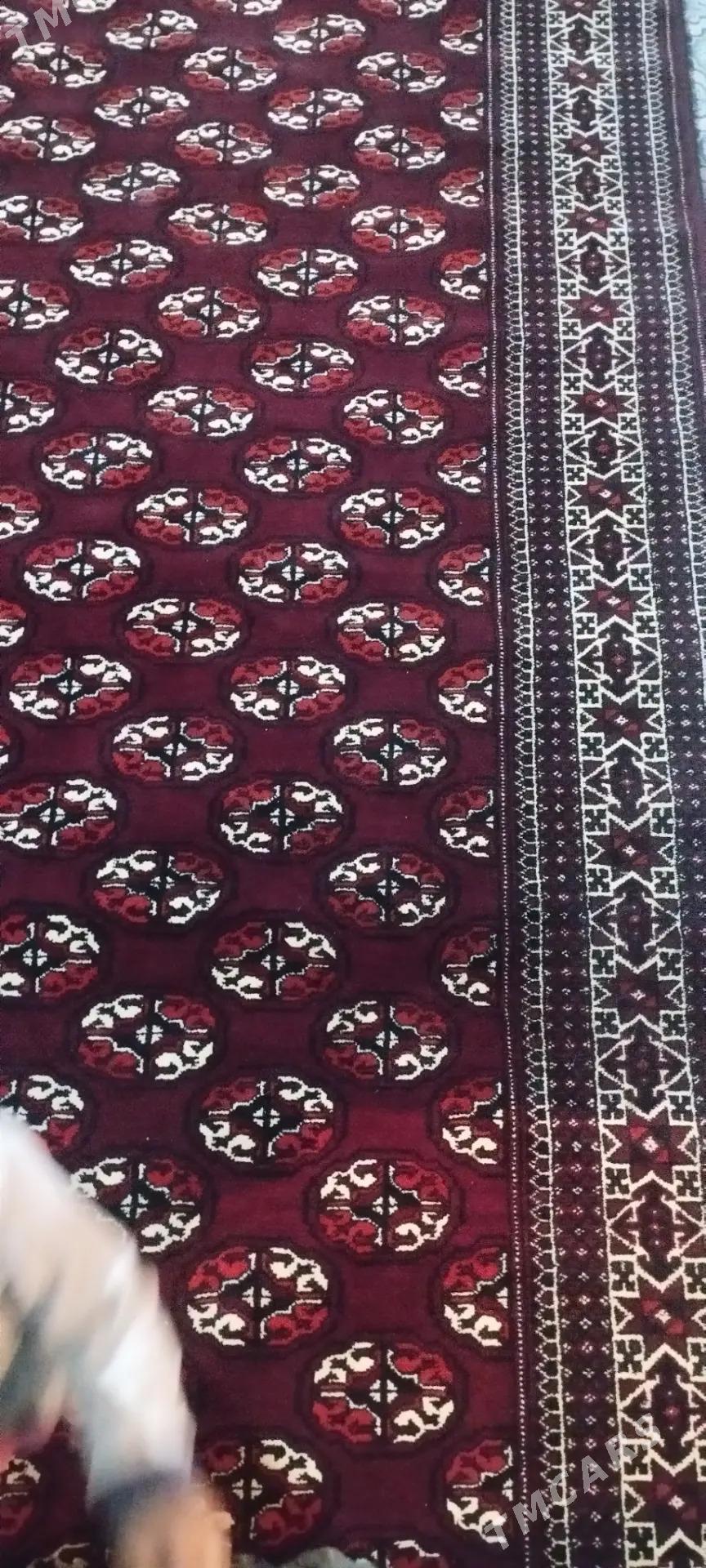 Haly - Balkanabat - img 3