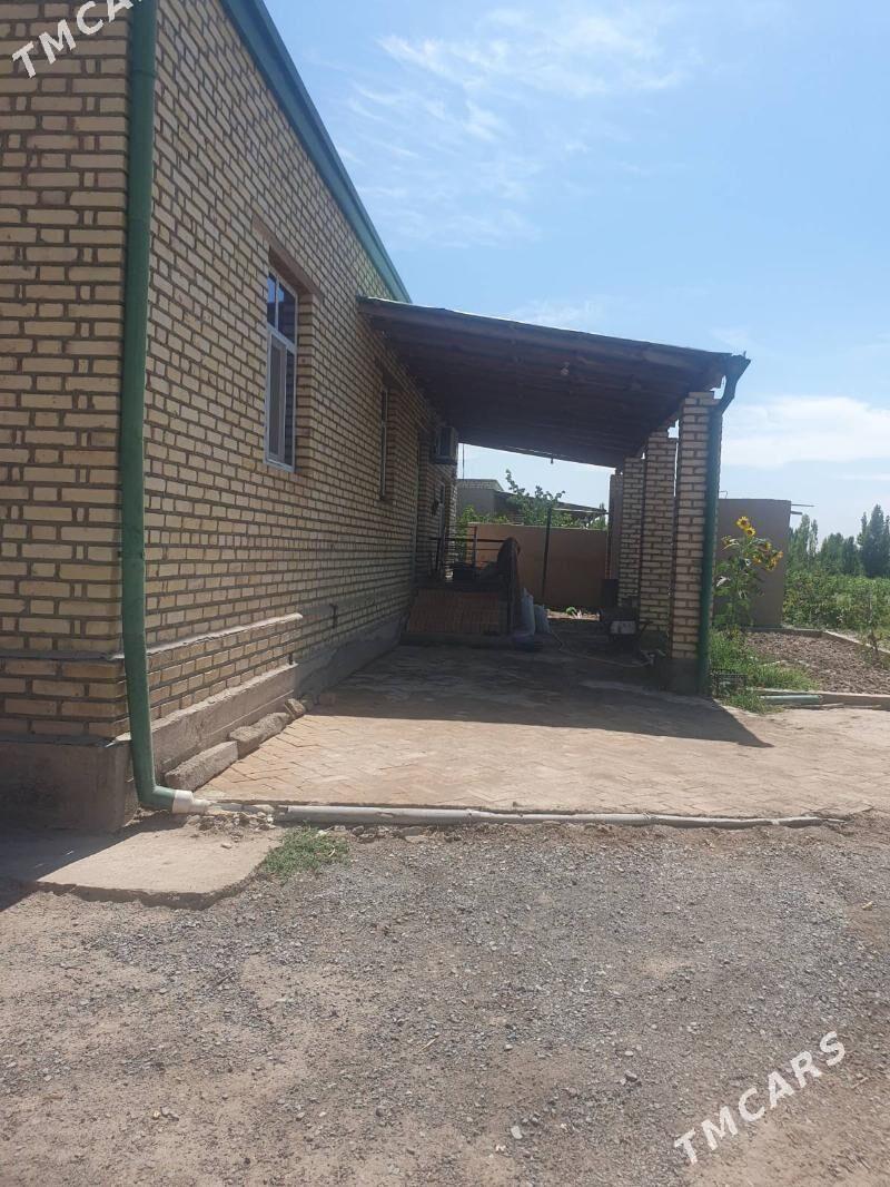 жай сатыляр - Görogly (Tagta) - img 6