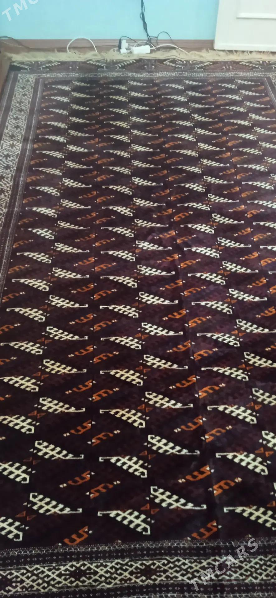 Haly - Balkanabat - img 4