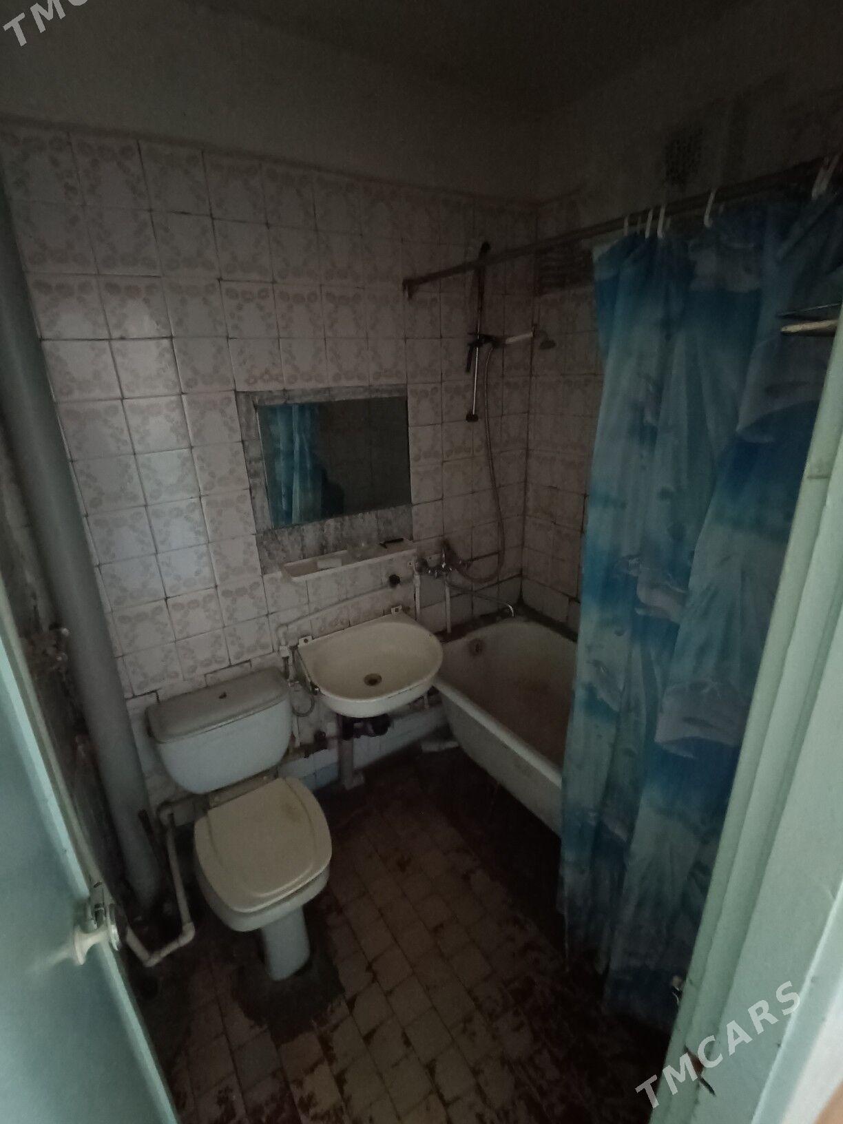 Satlyk jay - Мары - img 7