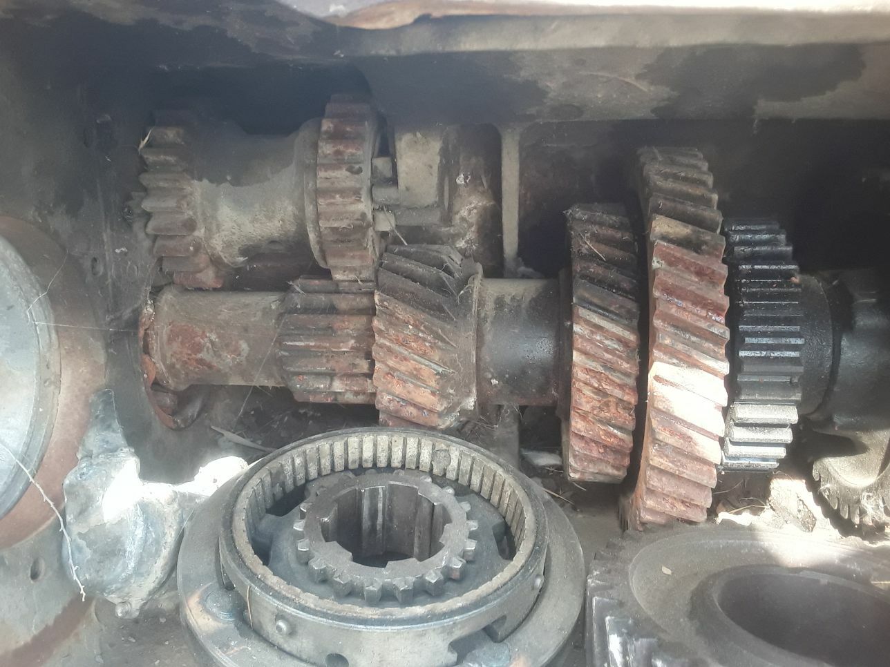 karopga 1 000 TMT - Гёкдепе - img 2