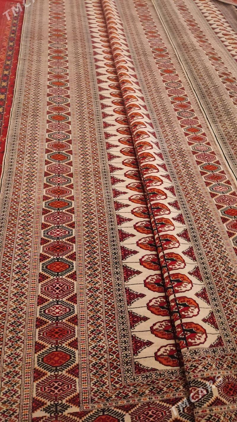 el haly 4/6 - Бахарден - img 5