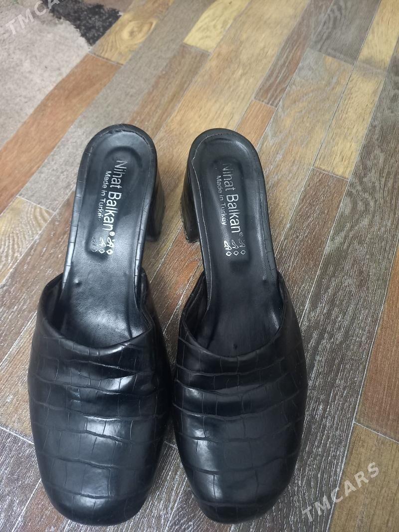 şypbyk - Daşoguz - img 2