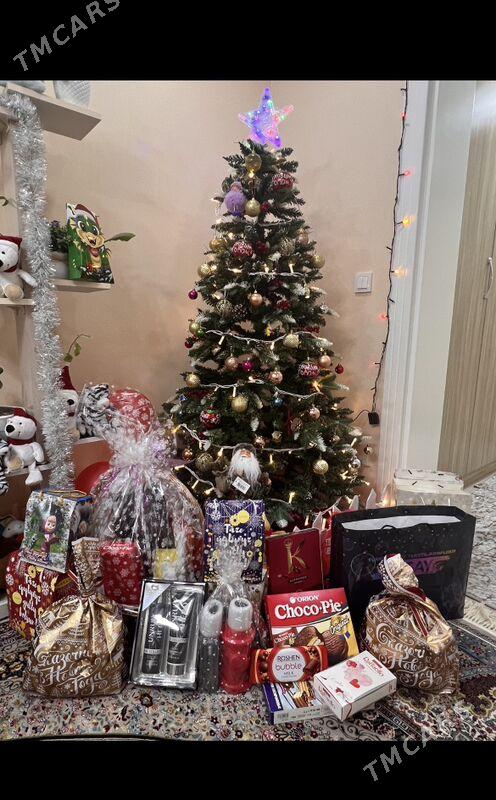 arca ёлка - Ашхабад - img 3