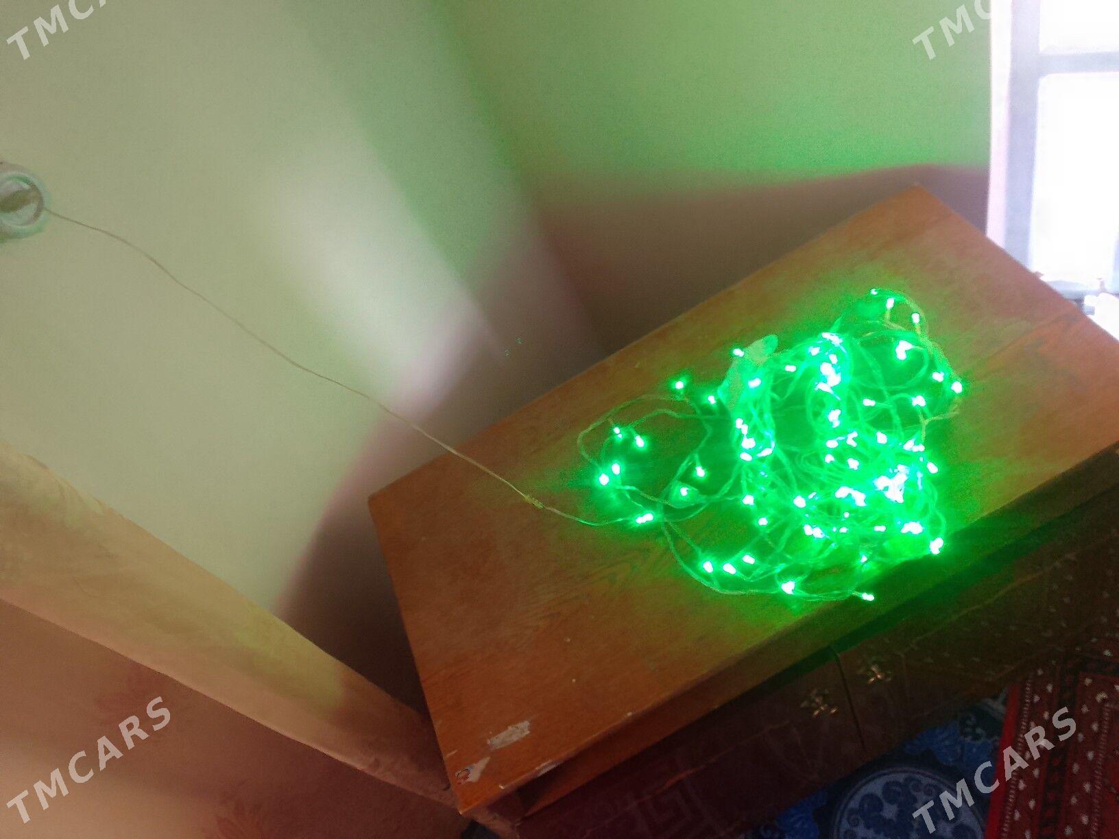 Taze yyl cyrasy - Чарджоу - img 3