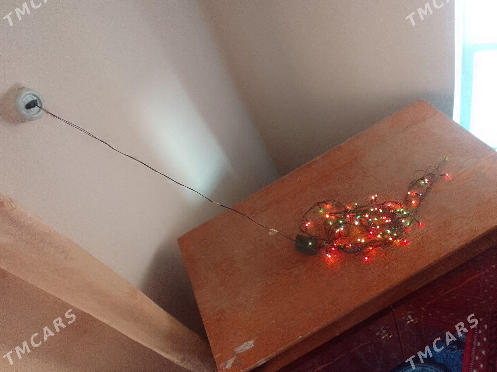 Taze yyl cyrasy - Чарджоу - img 4