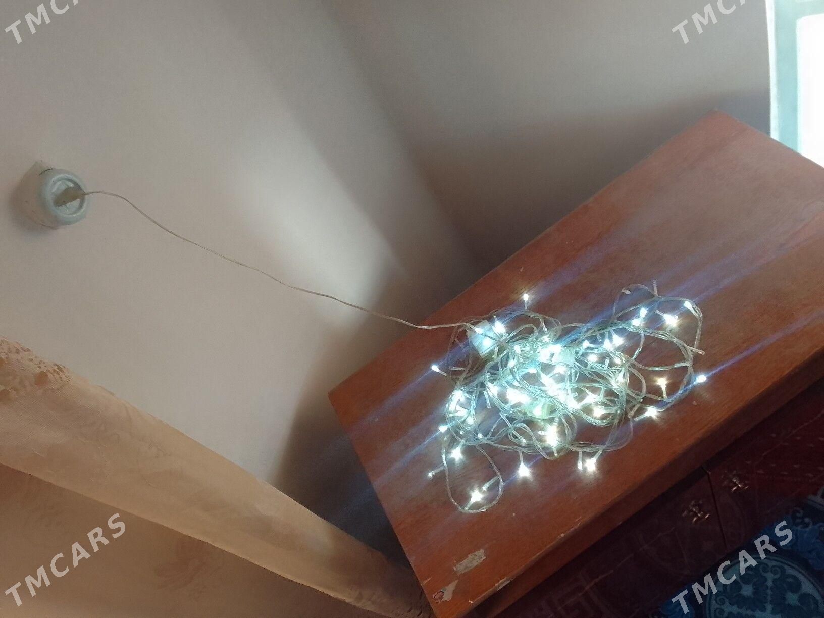 Taze yyl cyrasy - Чарджоу - img 2