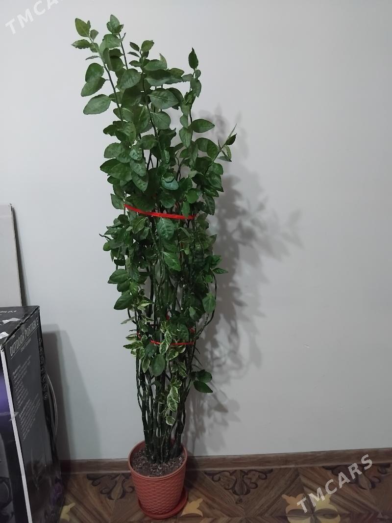 цветы - 10 mkr - img 2