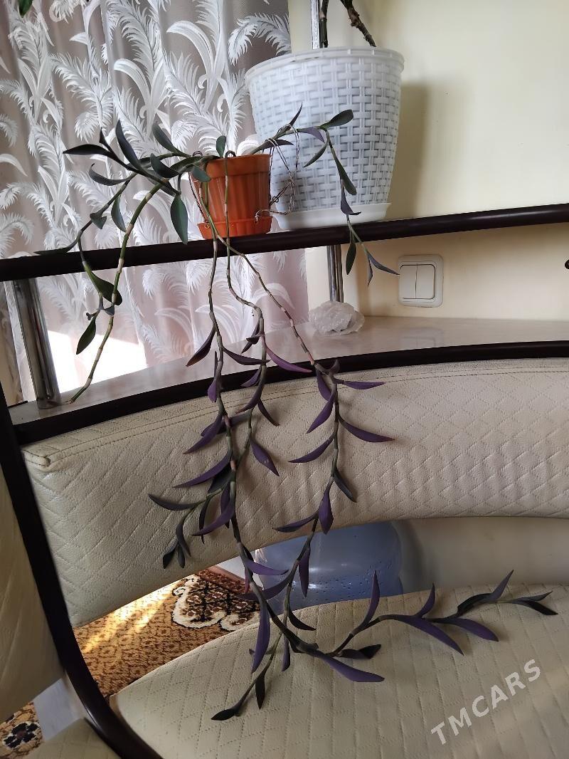 цветы - 10 mkr - img 3