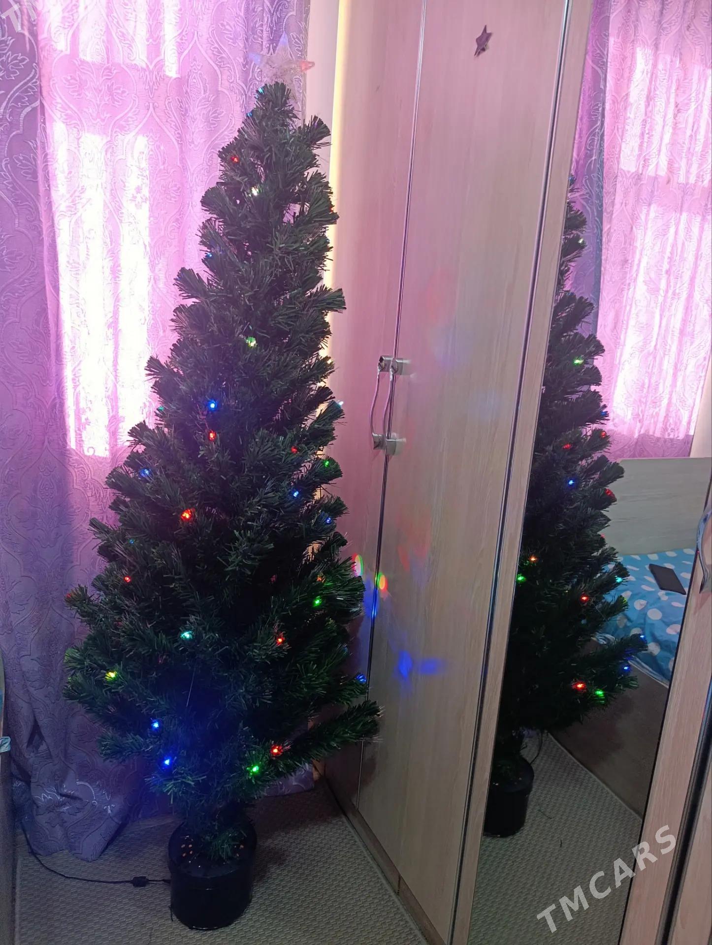 ýolka ёлка - Ашхабад - img 2