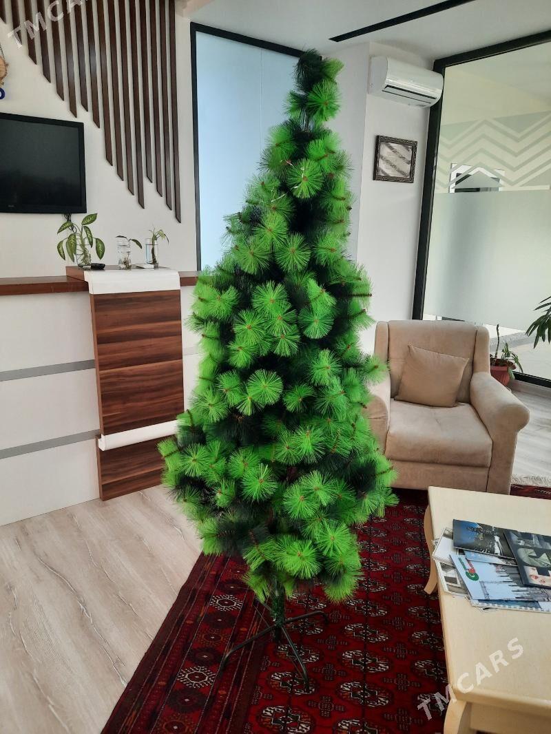 Satlyk arça - Ашхабад - img 2