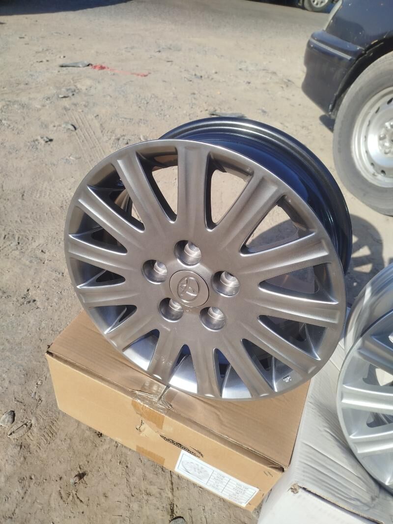 grant 13tayak disga R15 5 000 TMT - Мары - img 4