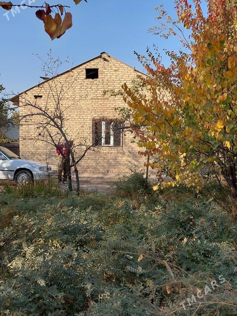 daça - Daşoguz - img 1