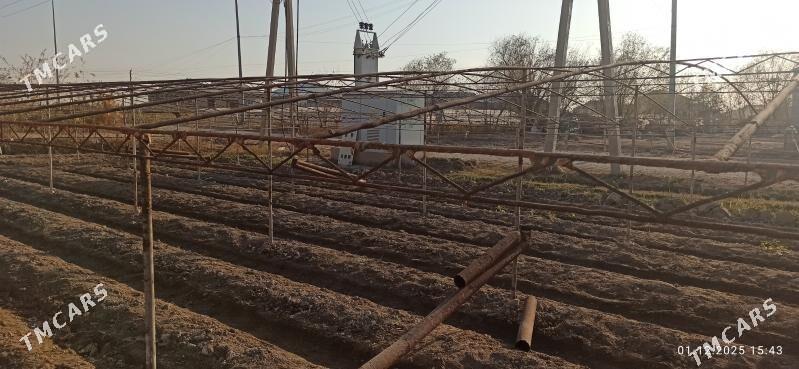 Parnik Teplissa - Murgap - img 5