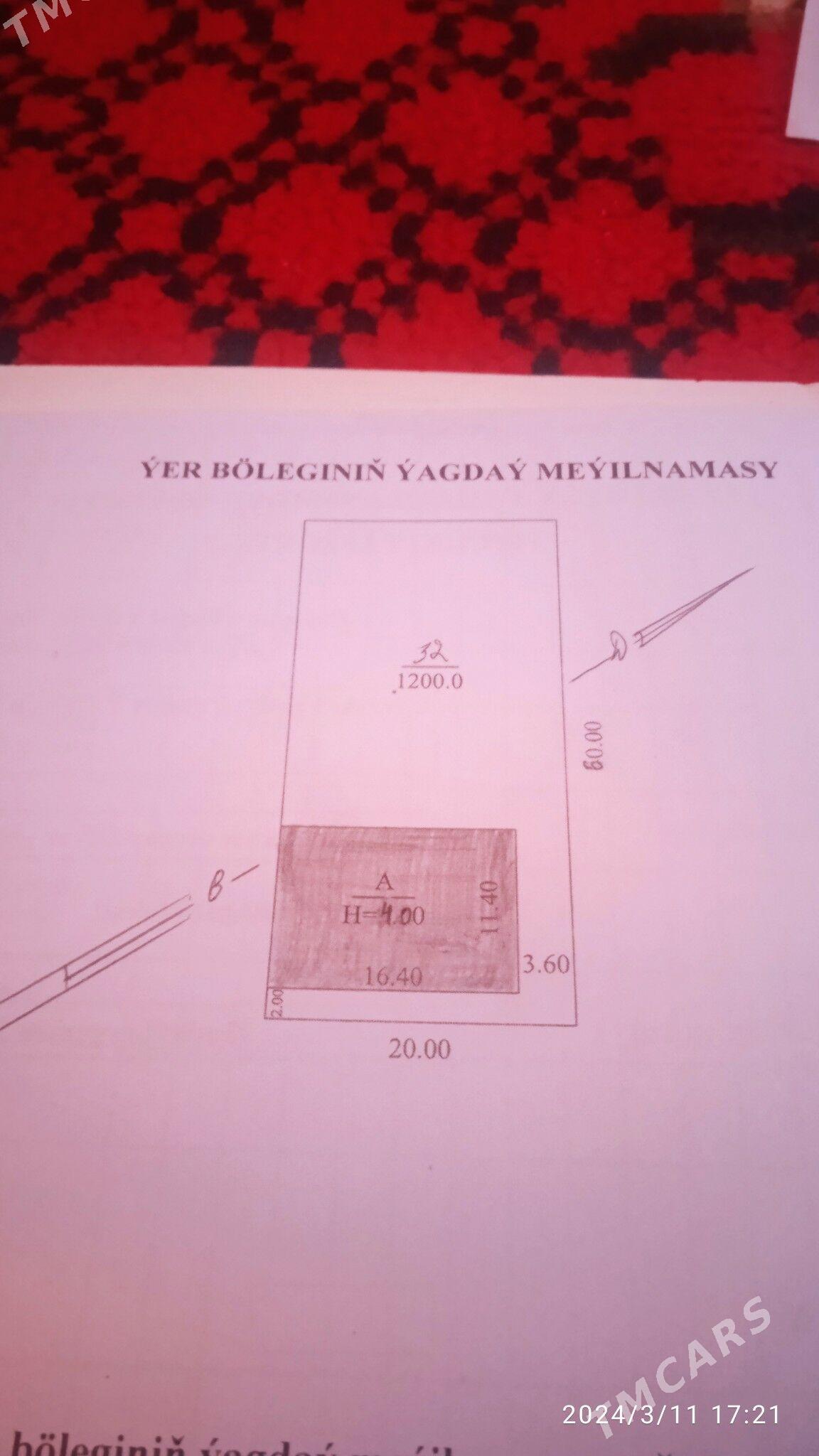 Jay - Дашогуз - img 1