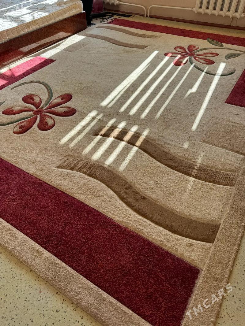 haly - Türkmenabat - img 3