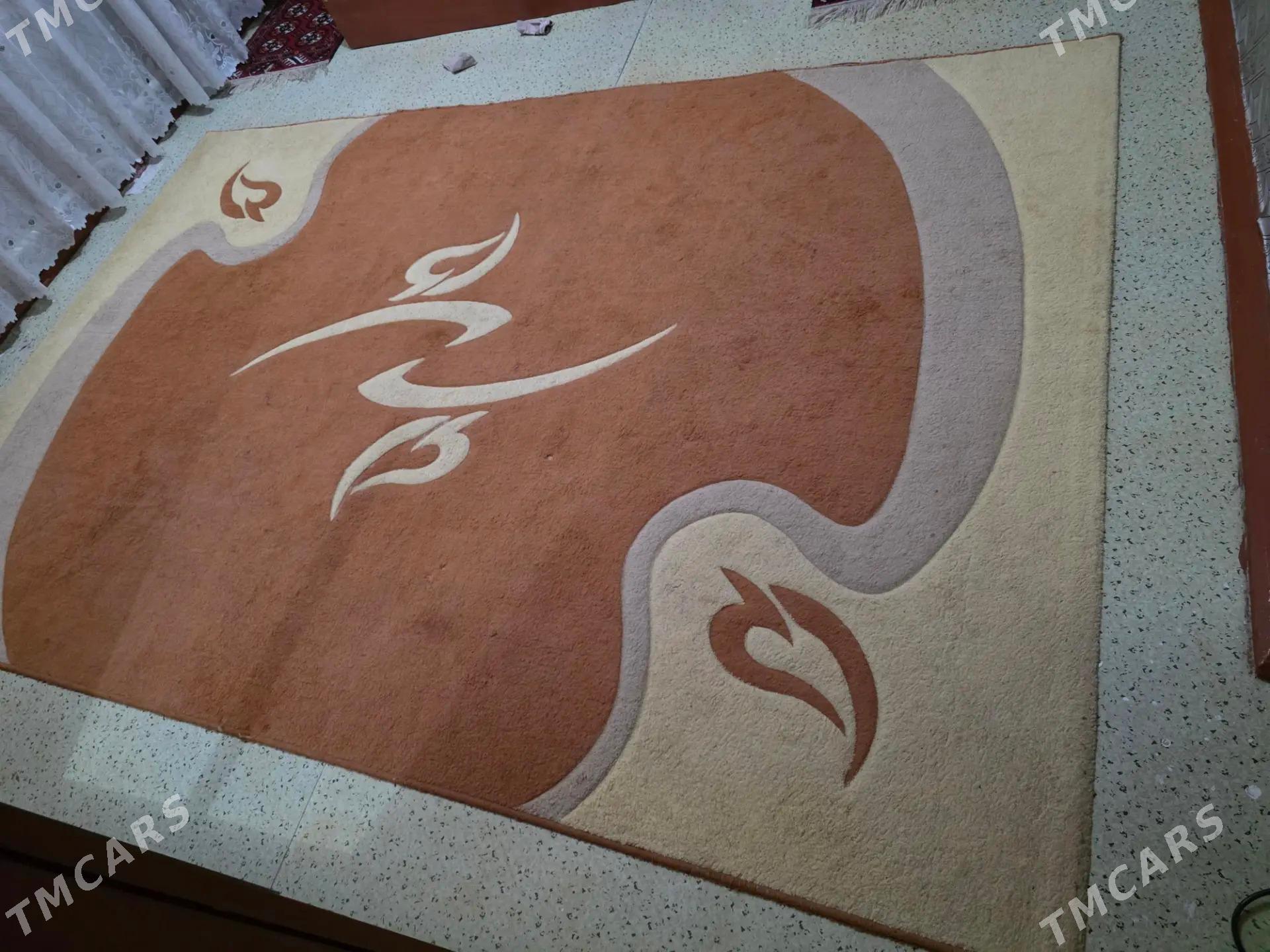 haly - Türkmenabat - img 2