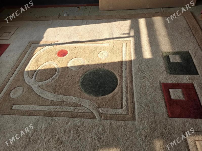 haly - Türkmenabat - img 4