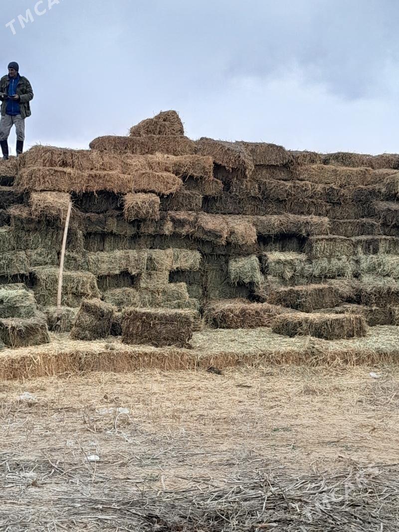 Yorunja - Aşgabat - img 2