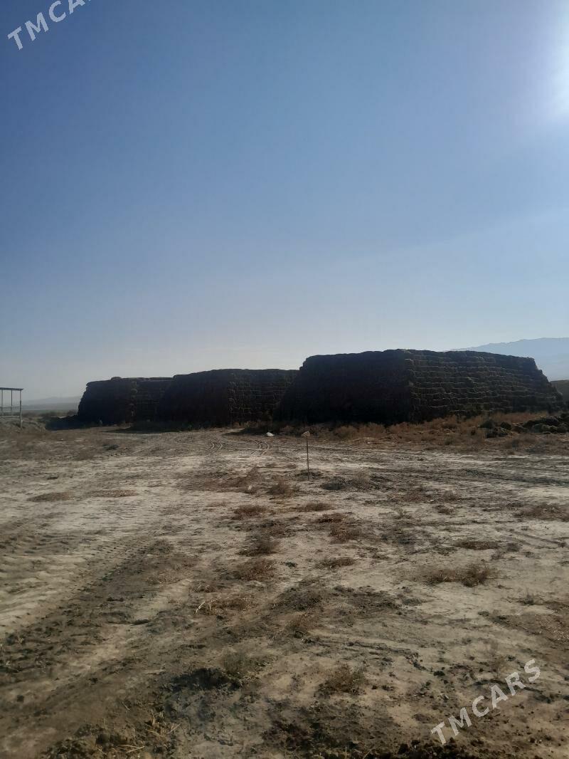 Yorunja - Aşgabat - img 9