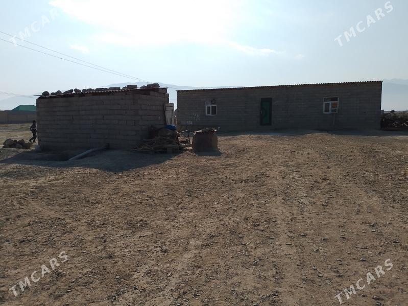 Baherden jay - Бахарден - img 4