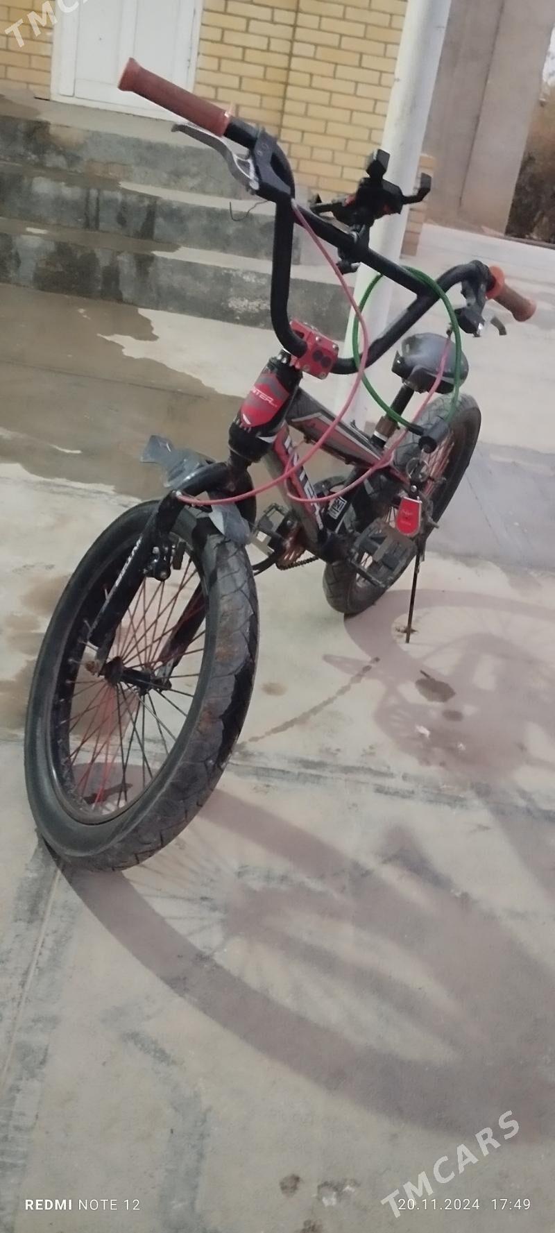 welik - Сакарчага - img 1