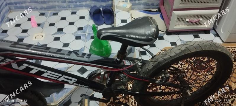 welik - Сакарчага - img 3