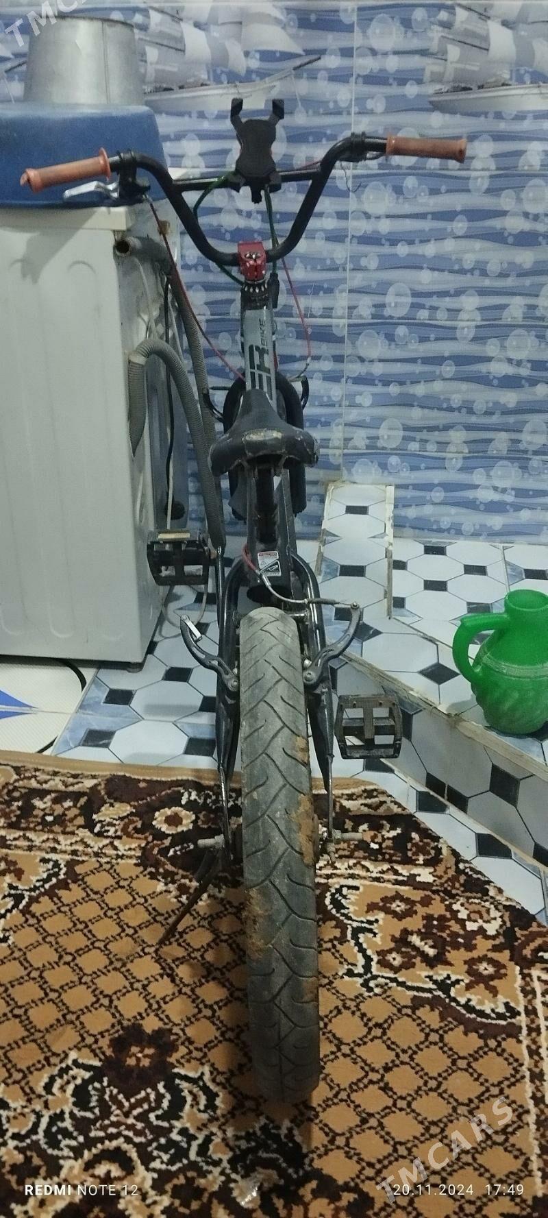 welik - Сакарчага - img 4