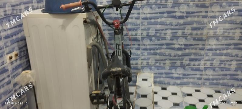 welik - Сакарчага - img 2