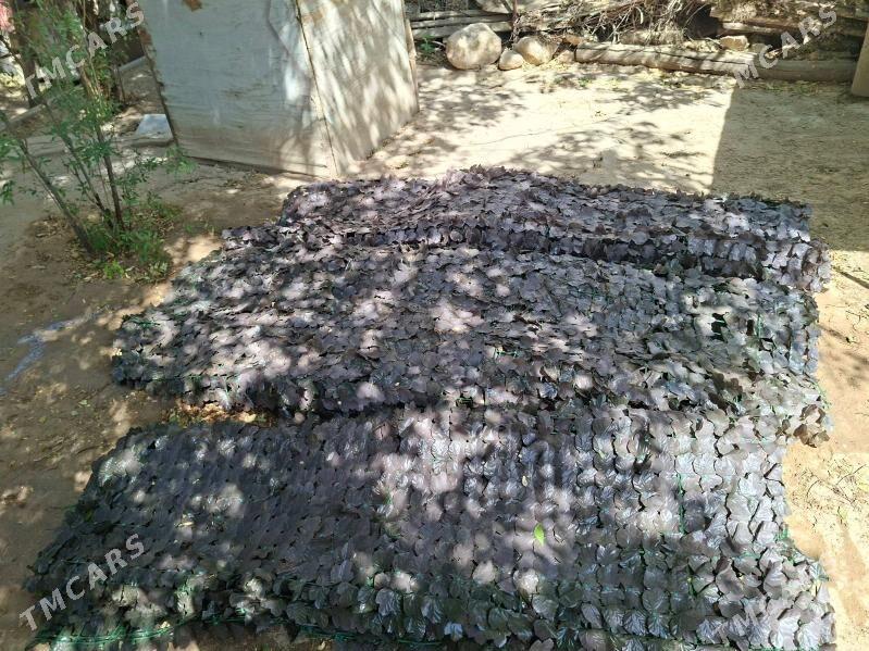 Nawesa Dakylyan Yaprak - Ашхабад - img 2