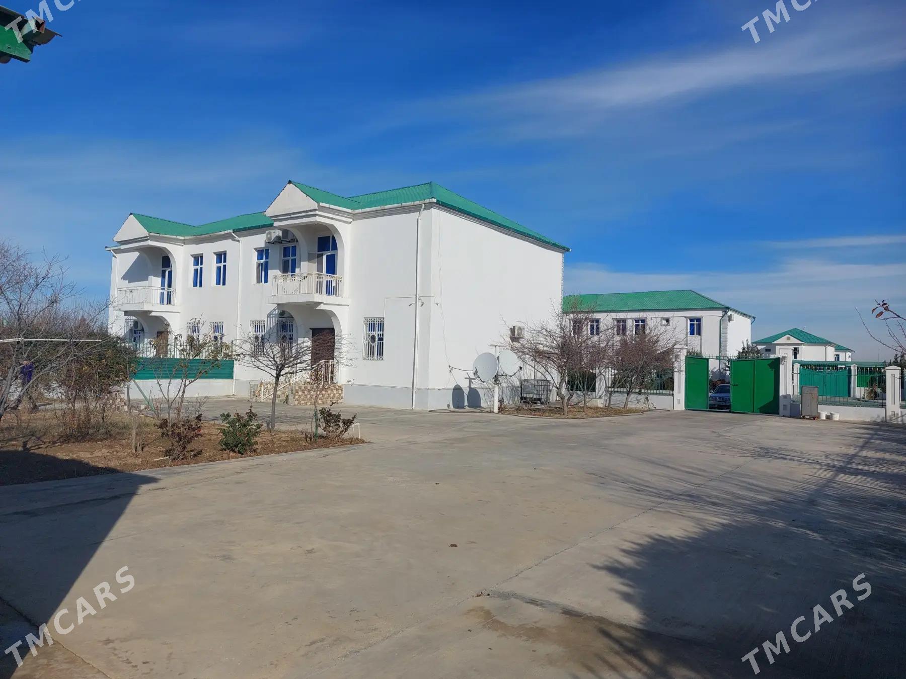 Taze zaman gosa kates 12 sotoh - Aşgabat - img 2