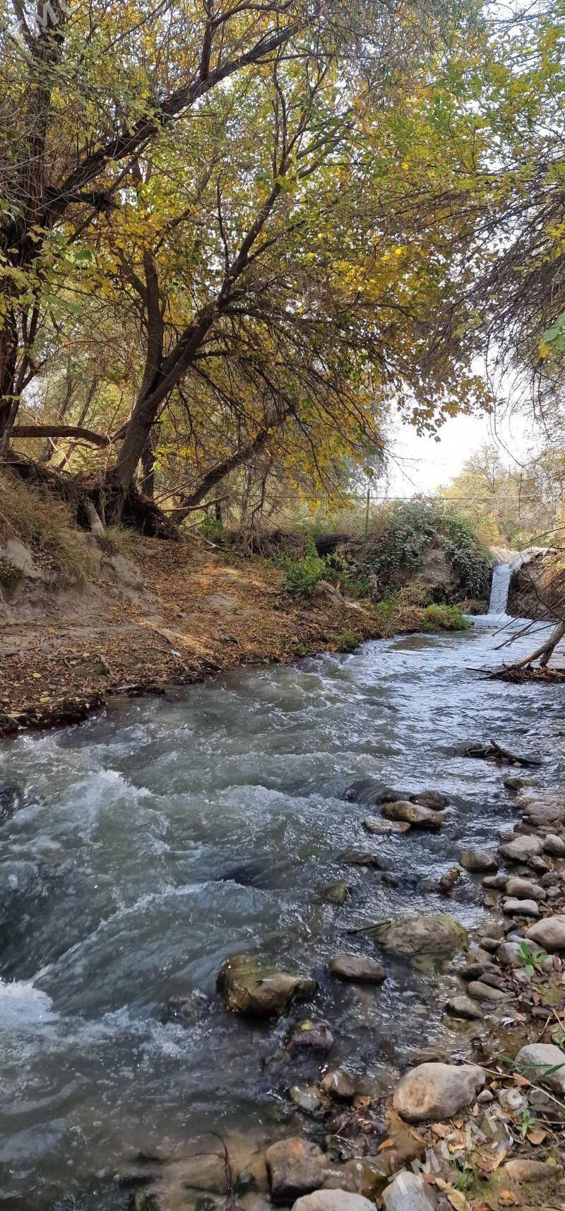 MELLEK YER - Gökdepe - img 2