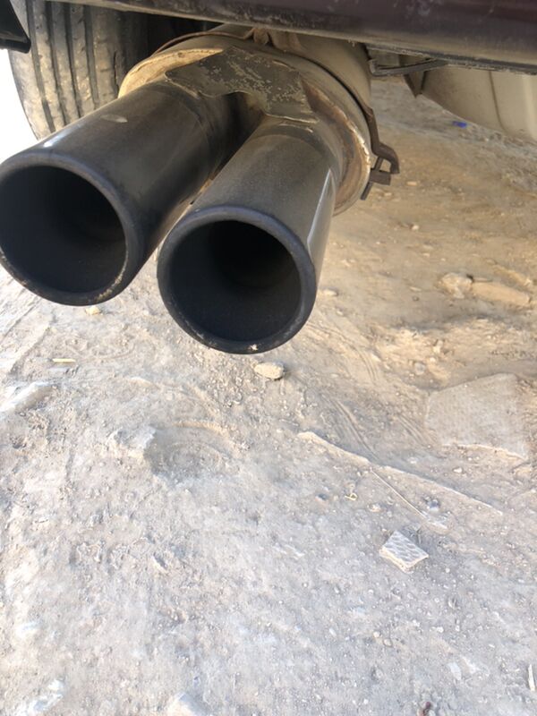 Remus 1 200 TMT - Mary - img 2