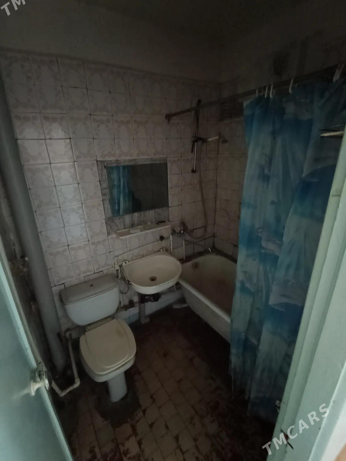 Satlyk jaỳ - Мары - img 7