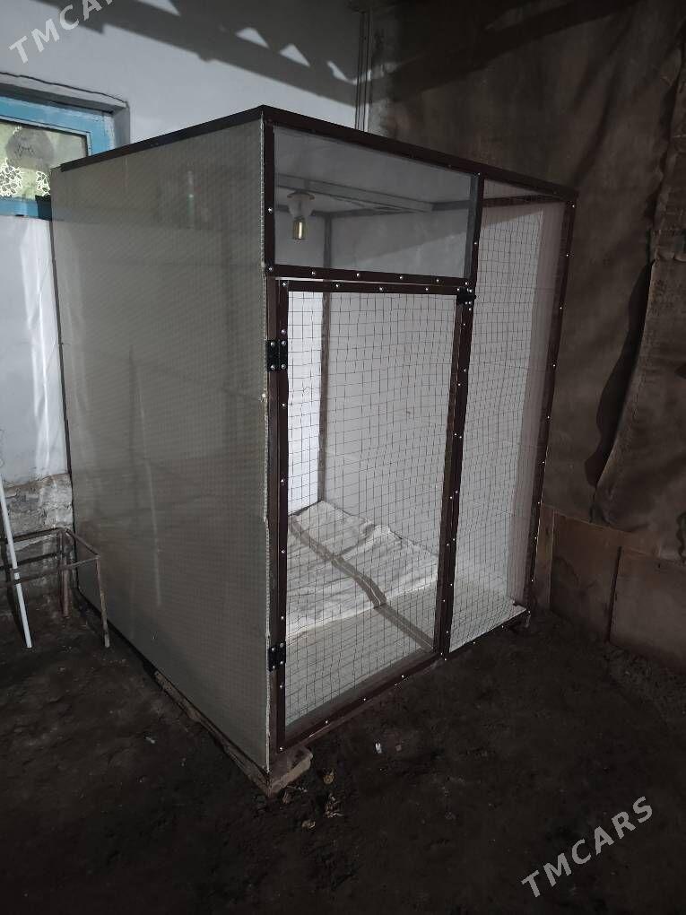 гуш хораз кетек - Дашогуз - img 2