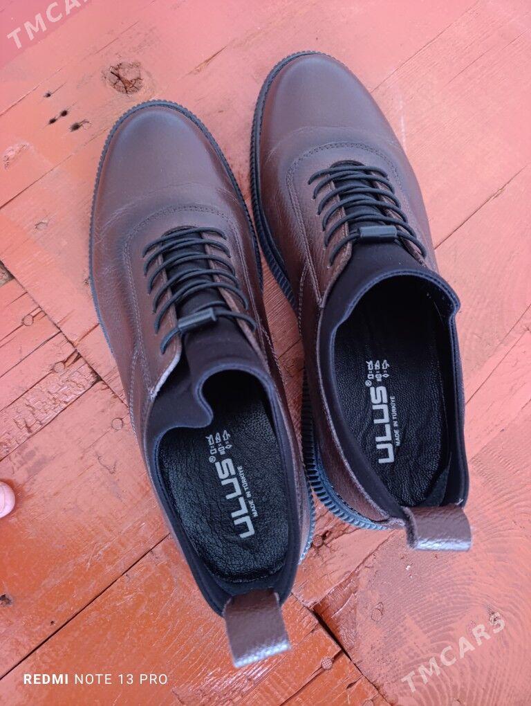 aykgap kõvüş - Mary - img 4