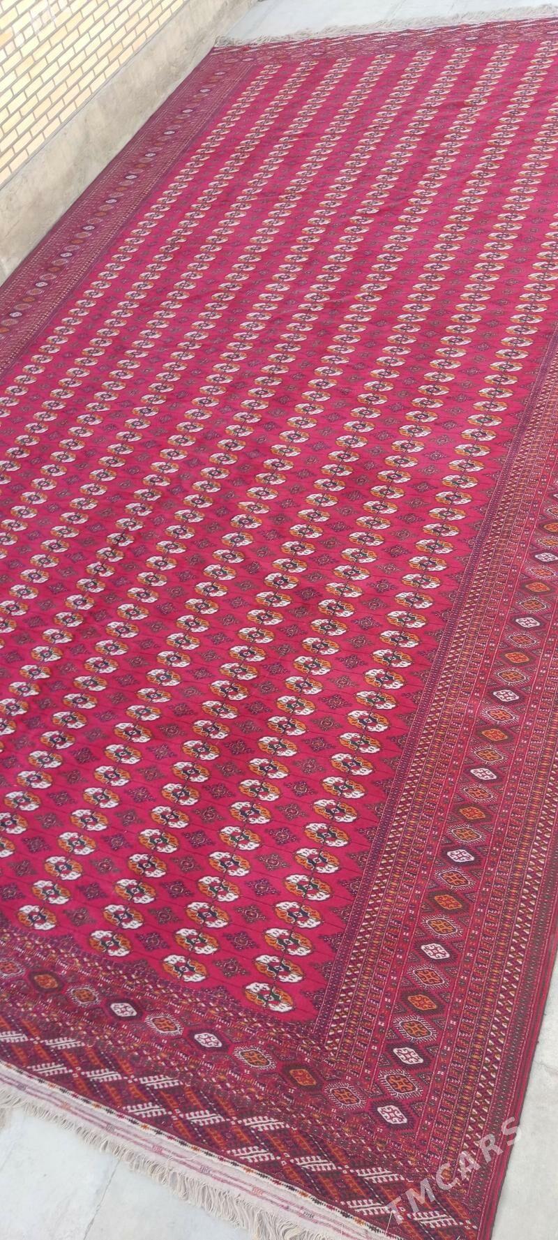 el haly 5/10 - Бахарден - img 2