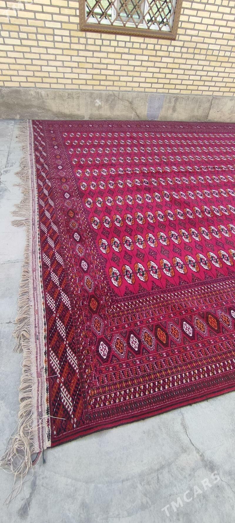 el haly 5/10 - Бахарден - img 4