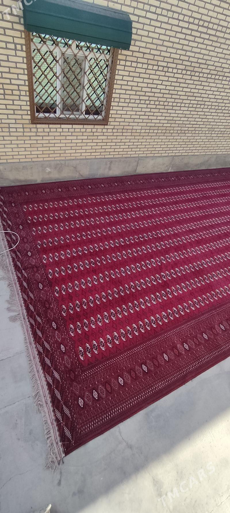 el haly 5/10 - Бахарден - img 3