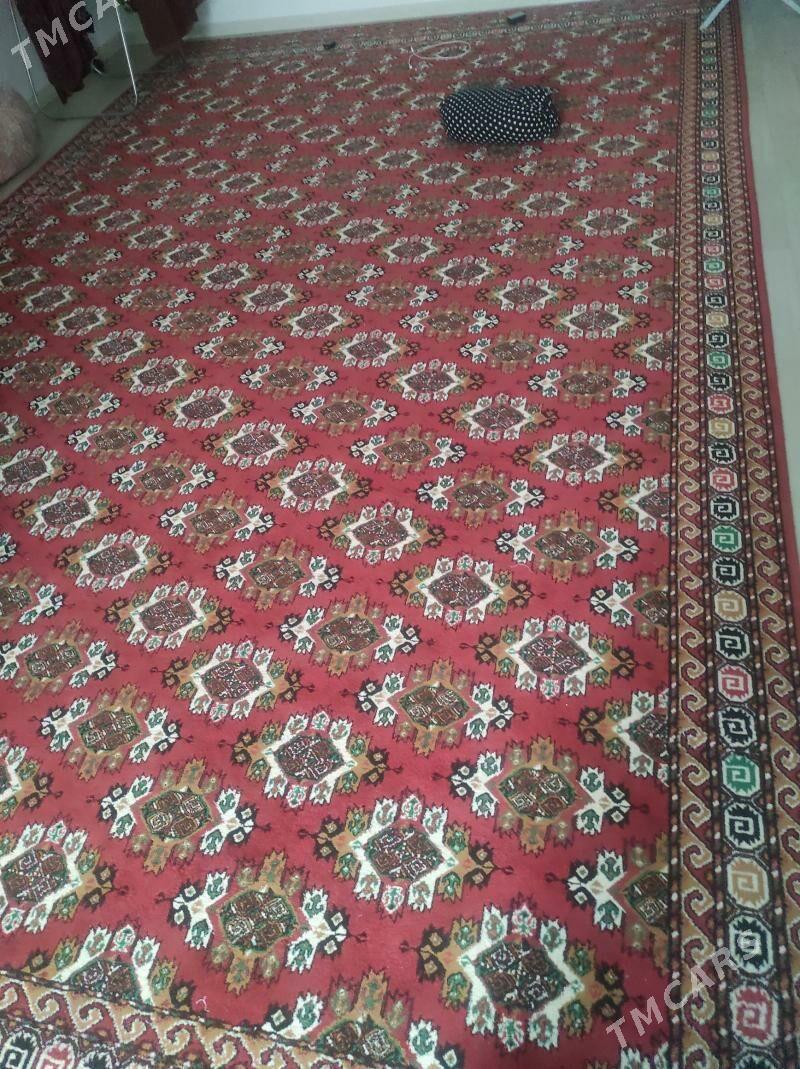 haly - Балканабат - img 2